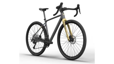 Conway Nyvo 4.0 Herren 54 cm grau Produktbild 1