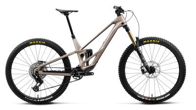 Orbea RALLON 450 E-LTD L Nickel (Matt) - Nickel Chrome (Gloss) Produktbild 3