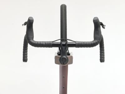 Trek Checkpoint ALR 5 M Bronze Age Produktbild 2