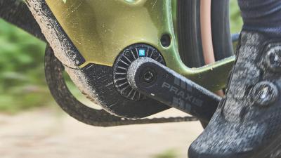 Trek Checkpoint+ SL F/S S Matte Bronze Age/Dark Web Produktbild 2