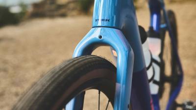 Trek Checkpoint+ SL F/S XL Matte Bronze Age/Dark Web Produktbild 6