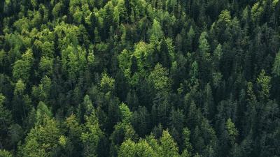 Trek Helm Trek Circuit WaveCel L Crystal White CE Produktbild 15