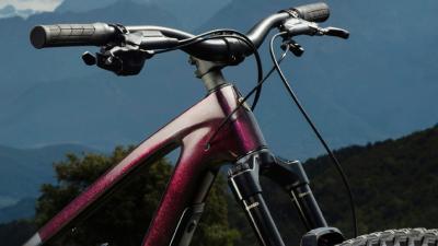Trek Fuel EX 5 XL Lithium Grey/Trek Black Splatter Produktbild 4