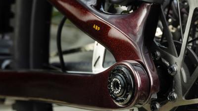 Trek Fuel EX 8 M Wild Mushroom/Trek Black Produktbild 7