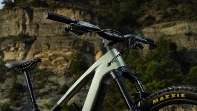 Trek FUEL+ EX 9.8 XT EU L Carbon Smoke / Lithium Grey M Produktbild 6